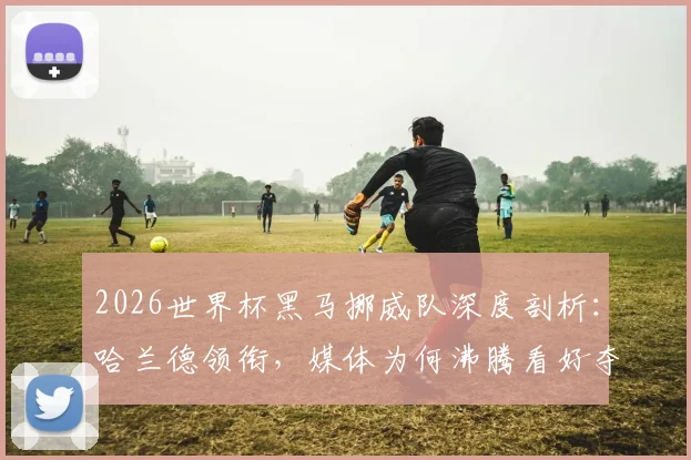 2026世界杯黑马挪威队深度剖析：哈兰德领衔，媒体为何沸腾看好夺冠？附夺冠可能性与阵容实力解读